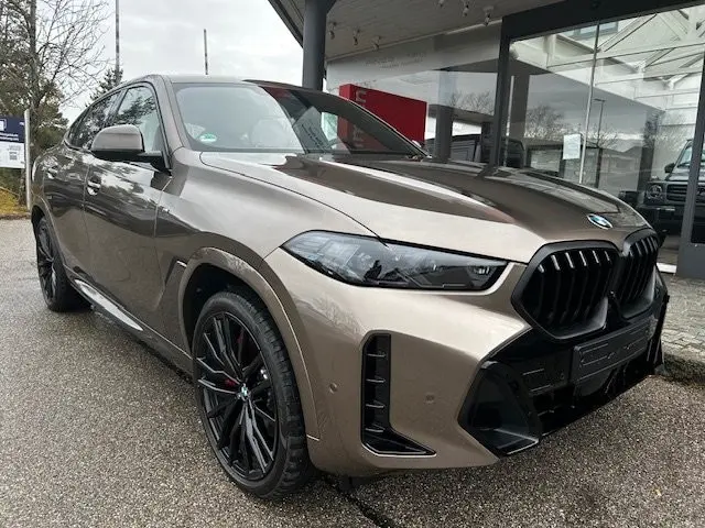 BMW X6 xDrive40d/SEPANG BRONZE/1OF/B&W/FULL-FULL!