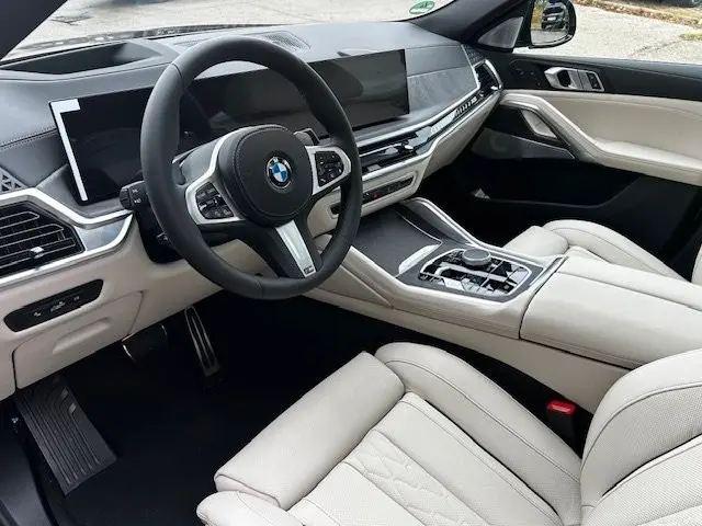 BMW X6 xDrive40d/SEPANG BRONZE/1OF/B&W/FULL-FULL! – 10