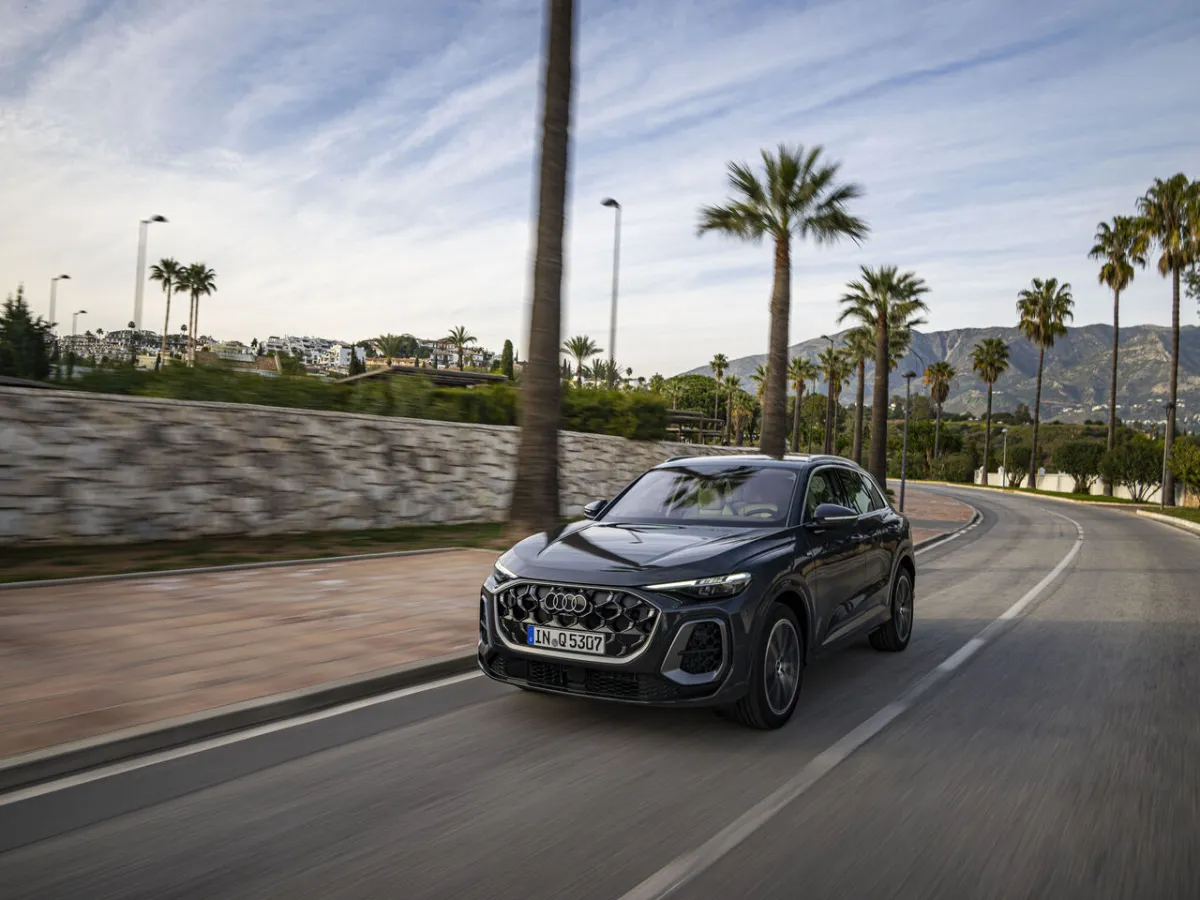 Audi Q5 mezi palmami
