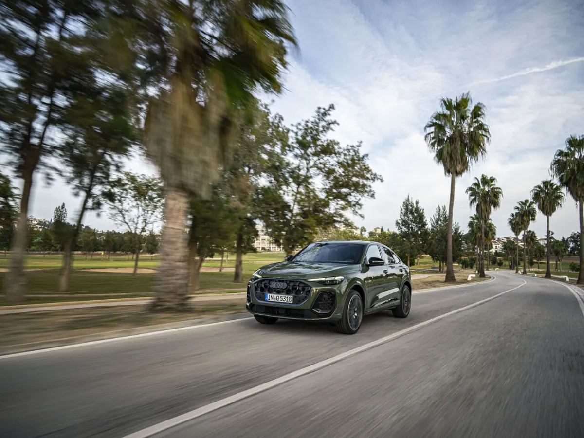 Audi Q5 Sportback zwischen Palmen