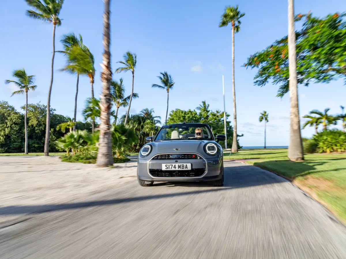 MINI Cooper Convertible among palm trees, with the roof open