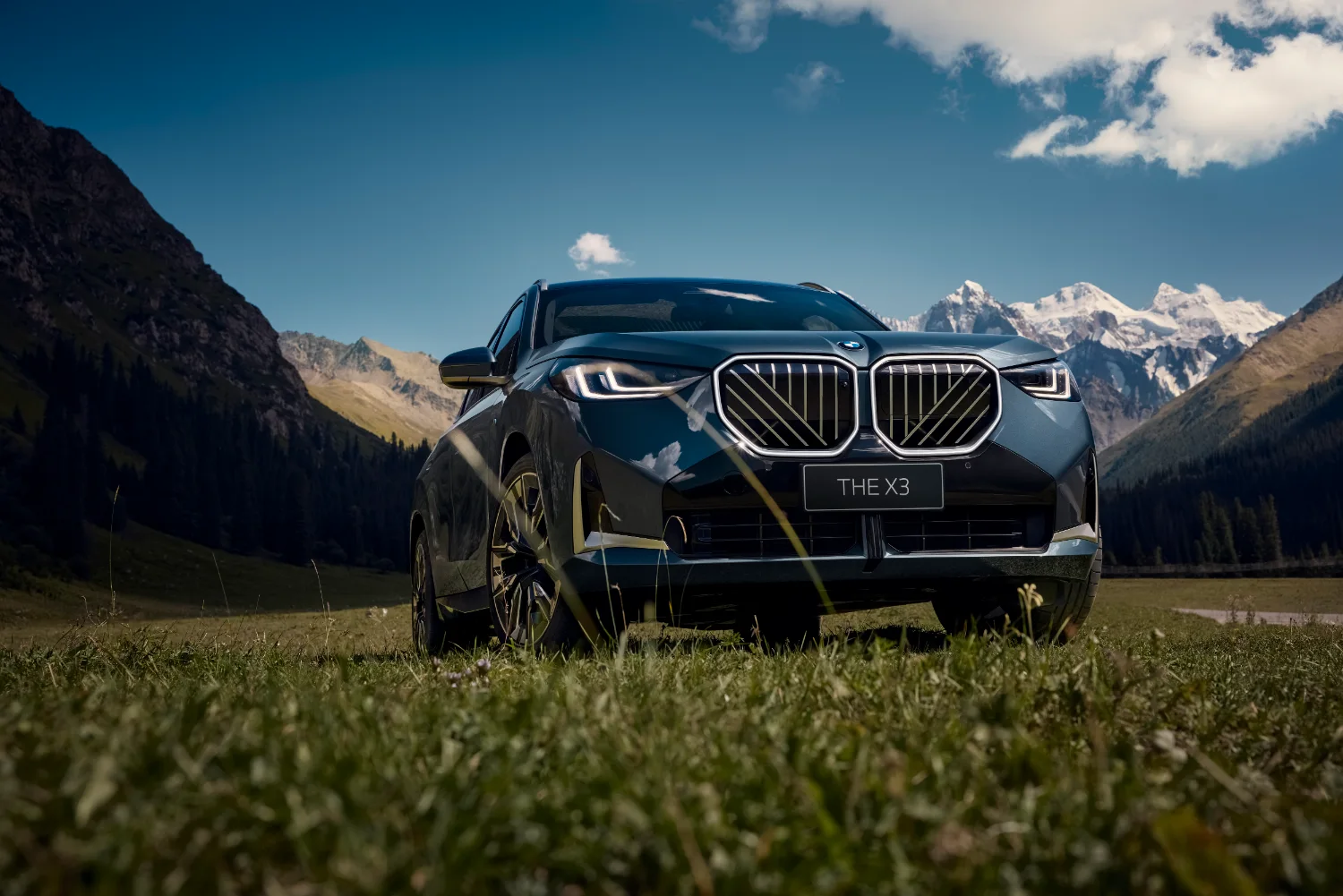 BMW X3 in Blau, Frontansicht in der Natur
